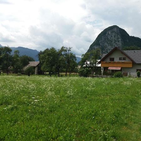Apartmaji Bremec Bohinj Luaran gambar