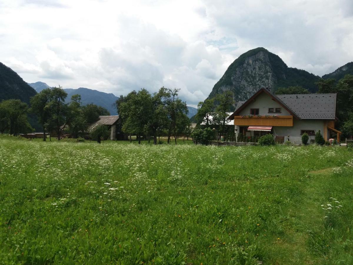 Apartmaji Bremec Bohinj Luaran gambar